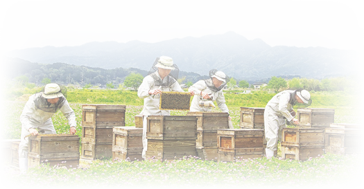 山田養蜂場